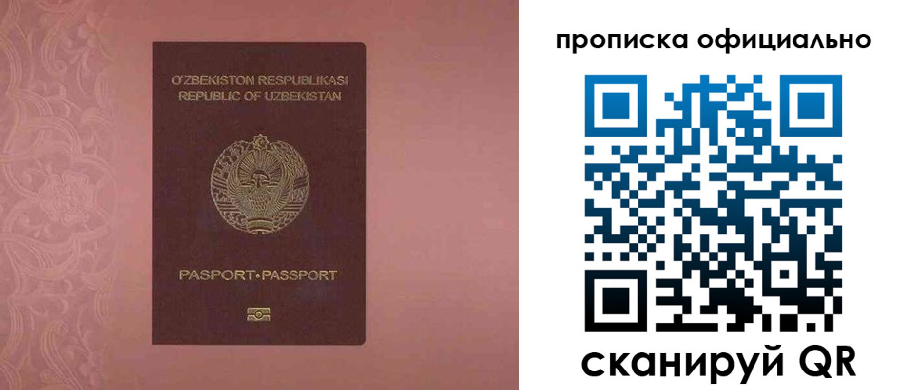 прописка гарантия в Шилке